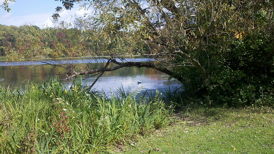 File:Horseshoe Lake at North Union Shaker Historic Site.jpg