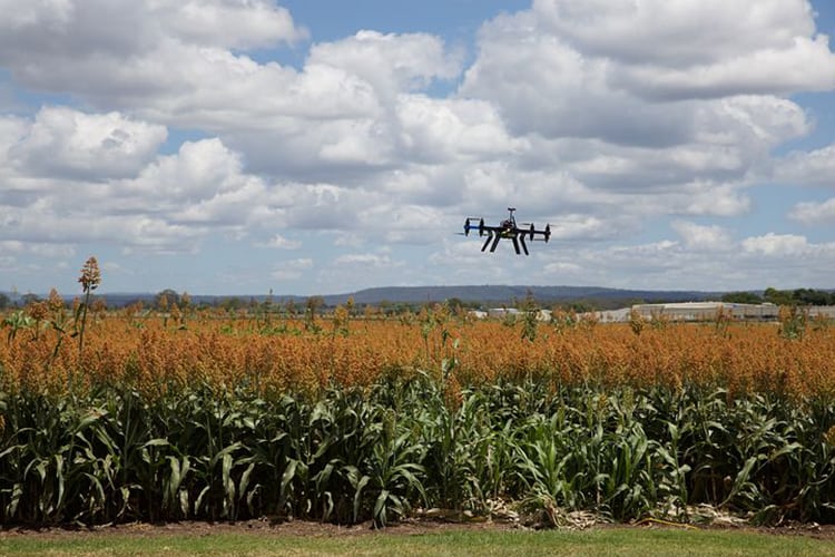 drone-jobs-agriculture