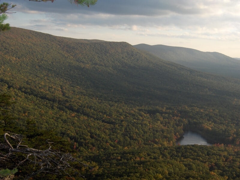 fly drone Talladega National Forest