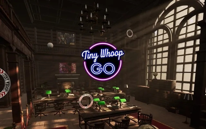 Tiny-Whoop-GO-Simulator